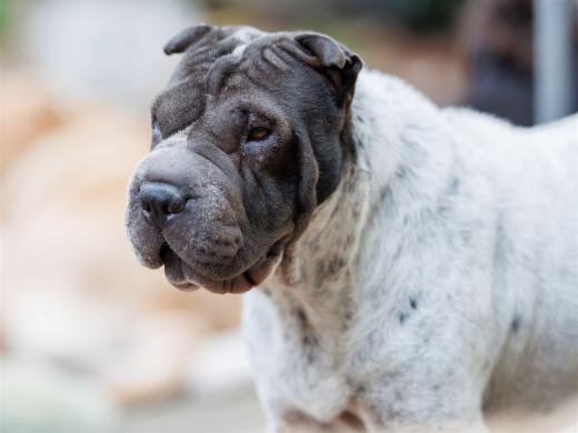 2024-10-06-16-25-36-EOS R6m2-5444_2048px-2