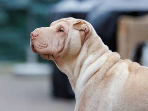 2024-10-06-16-27-16-EOS R6m2-5456_2048px