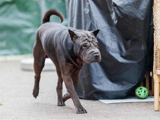 2024-10-06-16-27-31-EOS R6m2-5459_2048px