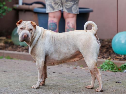 2024-10-06-16-31-02-EOS R6m2-1613_2048px