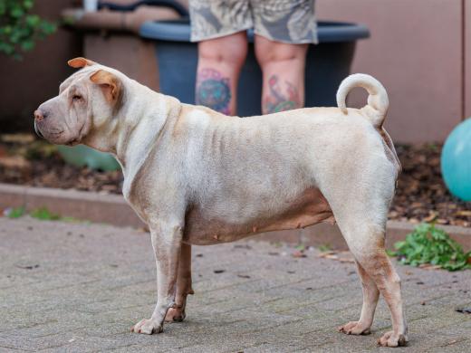 2024-10-06-16-31-02-EOS R6m2-1614_2048px