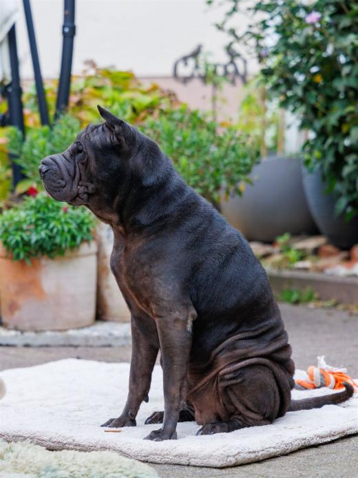 2024-10-06-16-32-00-EOS R6m2-1637_2048px