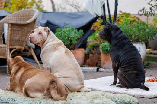 2024-10-06-16-32-18-EOS R6m2-1644_2048px