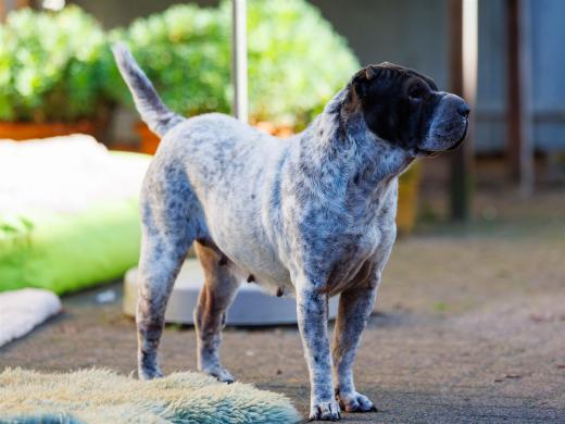 2024-10-26-15-21-03-EOS R6m2-5468_2048px