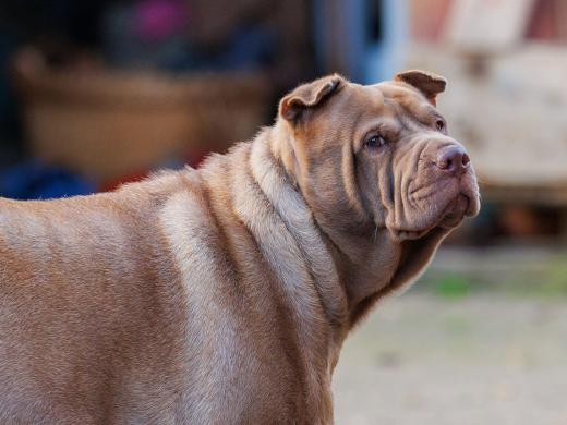 2024-10-26-15-22-46-EOS R6m2-5470_2048px