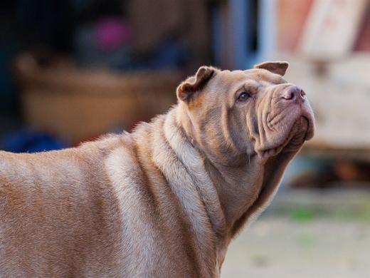 2024-10-26-15-22-48-EOS R6m2-5475_2048px