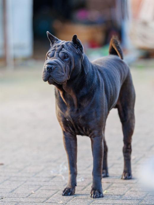 2024-10-26-15-25-03-EOS R6m2-5494_2048px