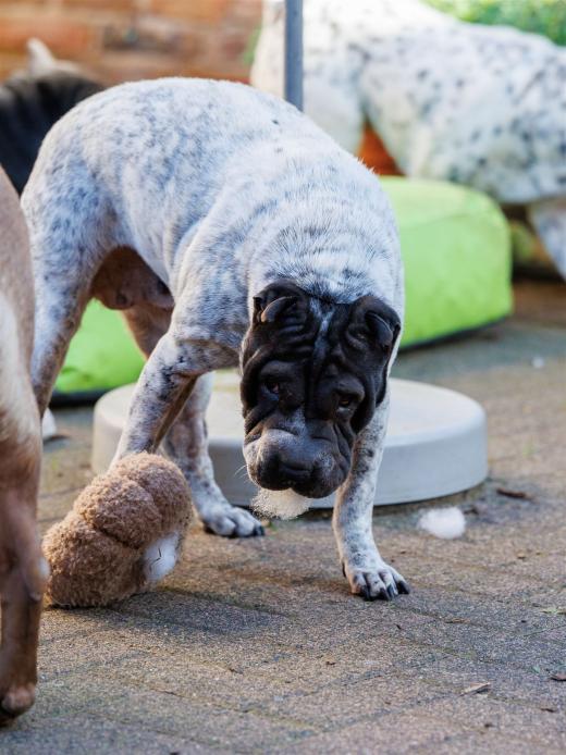 2024-10-26-15-33-32-EOS R6m2-1662_2048px