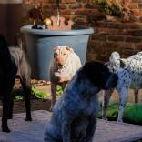 2024-10-26-15-34-07-EOS R6m2-1674_2048px