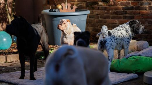 2024-10-26-15-34-11-EOS R6m2-1681_2048px