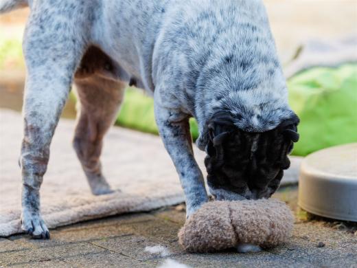 2024-10-26-15-35-37-EOS R6m2-5540_2048px