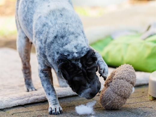 2024-10-26-15-35-38-EOS R6m2-5542_2048px