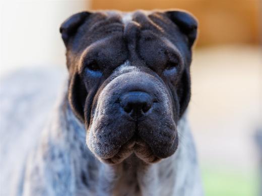 2024-10-26-15-40-52-EOS R6m2-5606_2048px