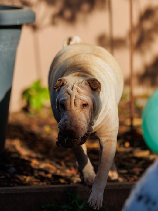 2024-10-26-15-41-57-EOS R6m2-5622_2048px