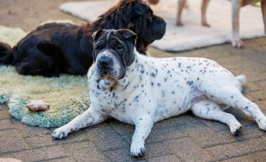 2024-10-26-15-47-14-EOS R6m2-1682_2048px