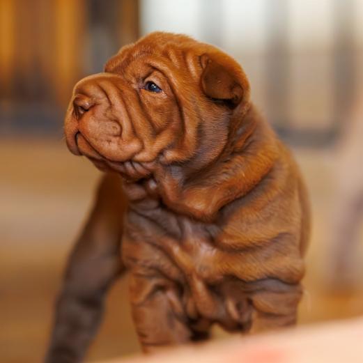 2025-01-26-11-57-38-EOS R6m2-5767-Verbessert-RR