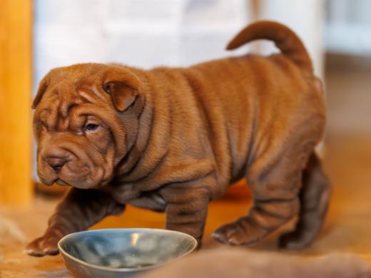 2025-01-26-12-00-00-EOS R6m2-5784-Verbessert-RR