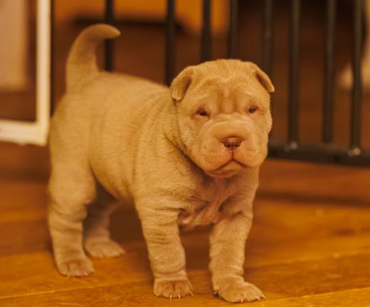 2025-01-26-21-09-03-EOS R6m2-5796-Verbessert-RR