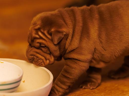 2025-01-26-21-10-56-EOS R6m2-5798-Verbessert-RR