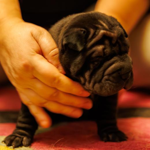 2025-01-26-22-05-28-EOS R6m2-1766-Verbessert-RR