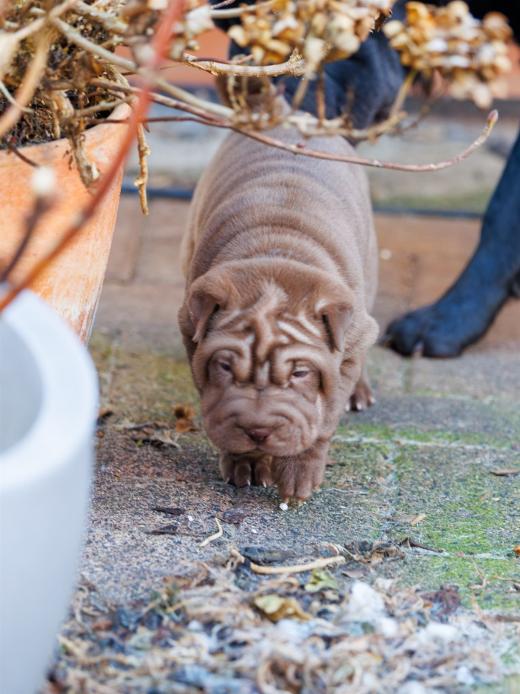 2025-02-02-10-47-40-EOS R6m2-5801-Verbessert-RR