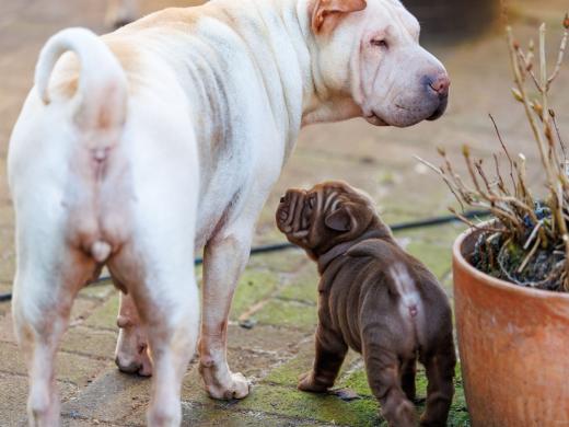 2025-02-02-10-47-44-EOS R6m2-5807-Verbessert-RR