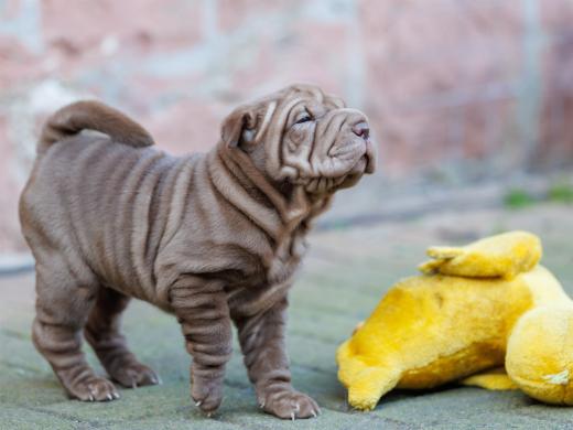 2025-02-08-10-12-04-EOS R6m2-5890-Verbessert-RR