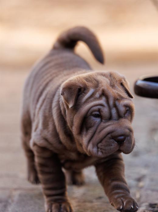 2025-02-08-10-12-36-EOS R6m2-5906-Verbessert-RR