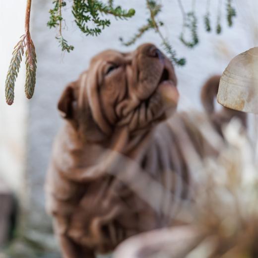 2025-02-08-10-12-50-EOS R6m2-5907-Verbessert-RR-2