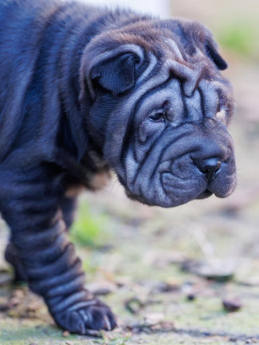 2025-02-08-10-12-59-EOS R6m2-5912-Verbessert-RR