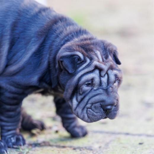 2025-02-08-10-13-01-EOS R6m2-5918-Verbessert-RR