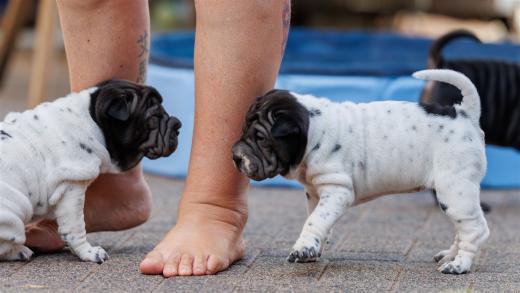 2025-07-11-16-46-13-EOS R6m2-6446