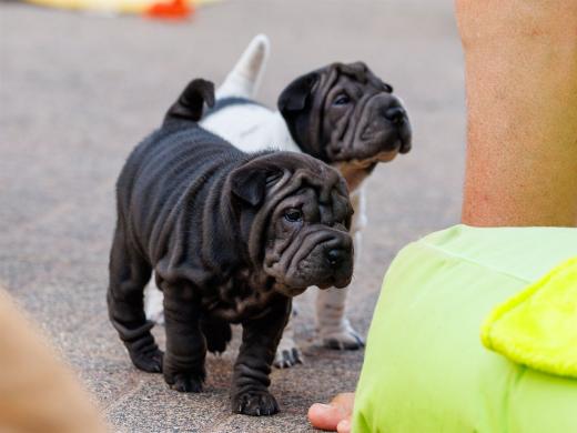 2025-07-11-16-47-10-EOS R6m2-6476