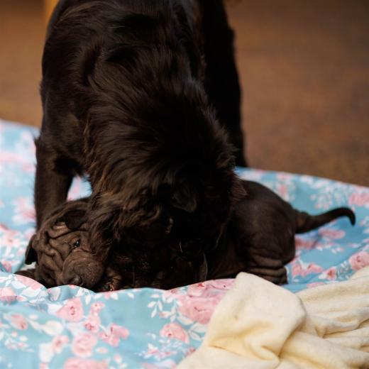 2025-08-03-20-28-50-EOS R6m2-6749