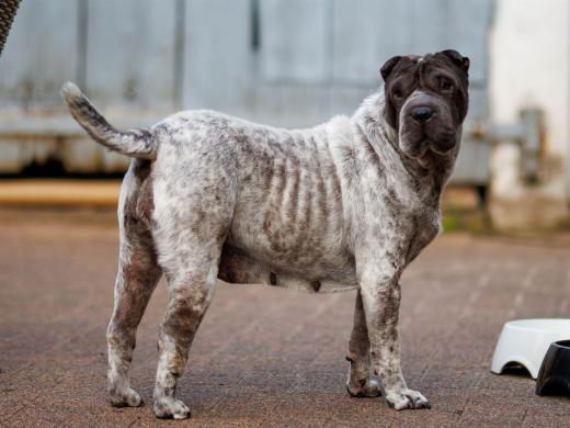 2025-08-03-20-29-52-EOS R6m2-6756