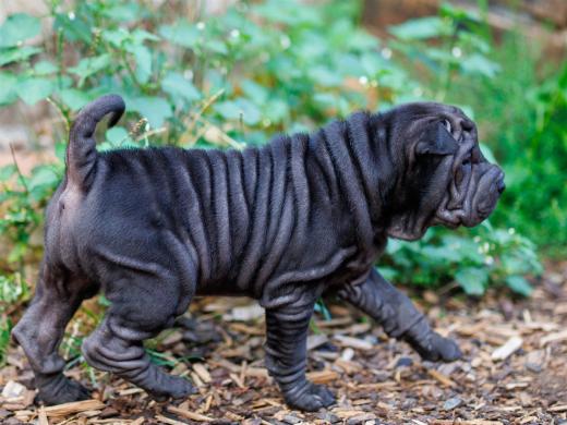 2025-08-03-20-32-02-EOS R6m2-6763