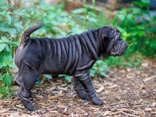 2025-08-03-20-32-03-EOS R6m2-6764