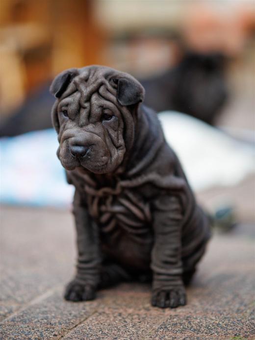 2025-08-03-20-34-58-EOS R6m2-6794