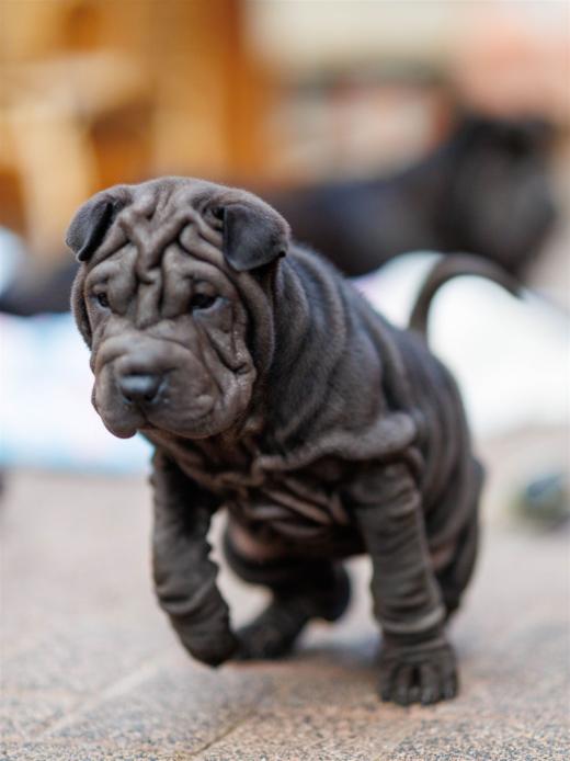 2025-08-03-20-34-58-EOS R6m2-6795