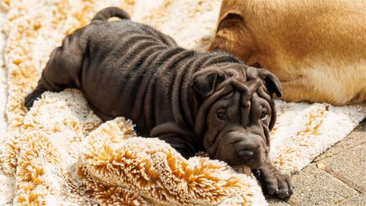 2025-08-06-15-29-06-EOS R7-7105