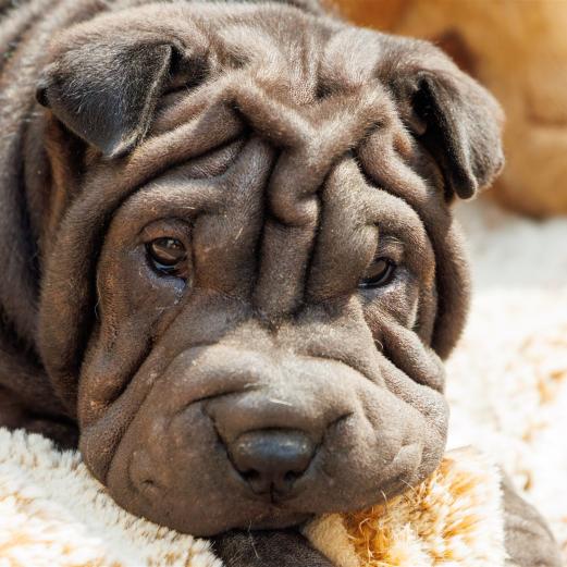 2025-08-06-15-29-21-EOS R7-7109