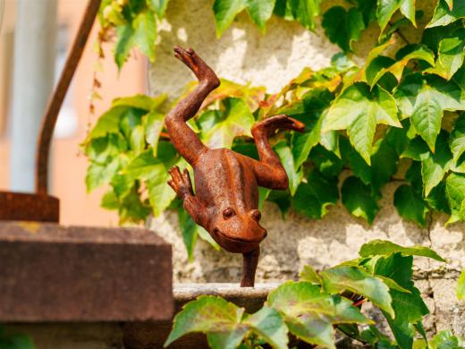 2025-08-06-15-38-55-EOS R7-7113