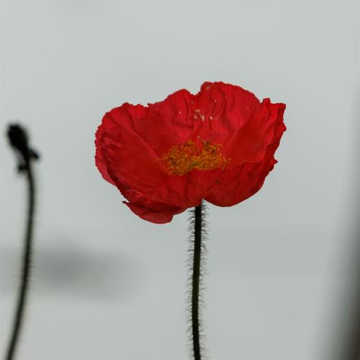 2025-08-06-15-39-25-EOS R7-7116