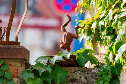 2025-08-06-17-56-06-EOS R7-7158