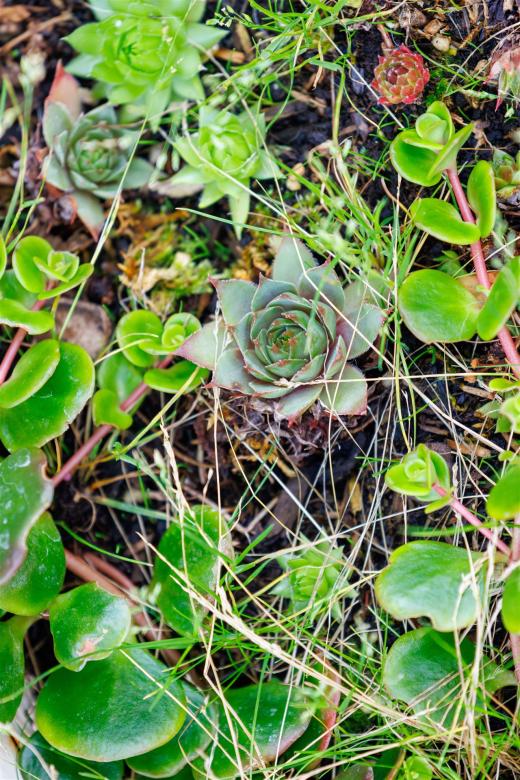 2025-08-06-17-56-18-EOS R7-7159