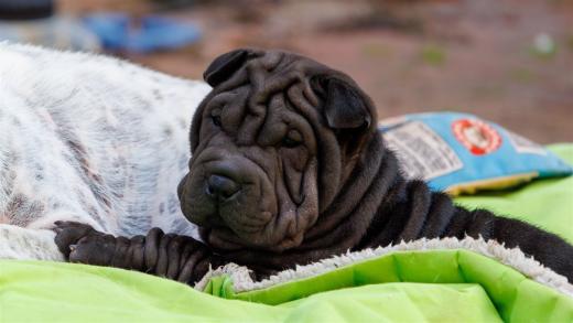 2025-08-06-18-18-38-EOS R7-7235