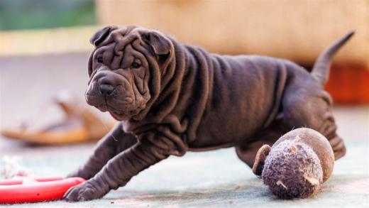 2025-08-08-18-56-14-EOS R6m2-1957