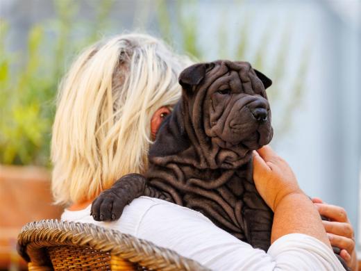 2025-08-08-19-13-29-EOS R6m2-1980