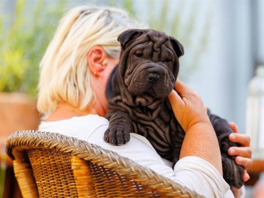 2025-08-08-19-13-36-EOS R6m2-1992