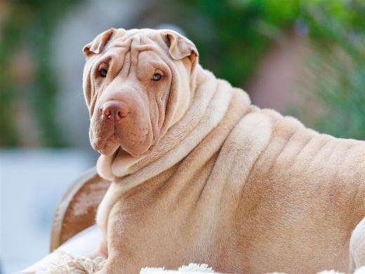 2025-08-08-20-10-06-EOS R6m2-2043